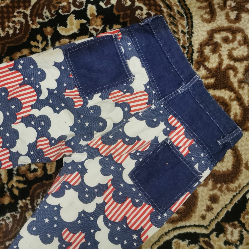 RARE Vintage American Flag Novelty Print Jeans 70s 1970 Americana